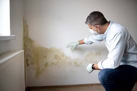 Best Mold Removal for HVAC Installations in Powell, AL